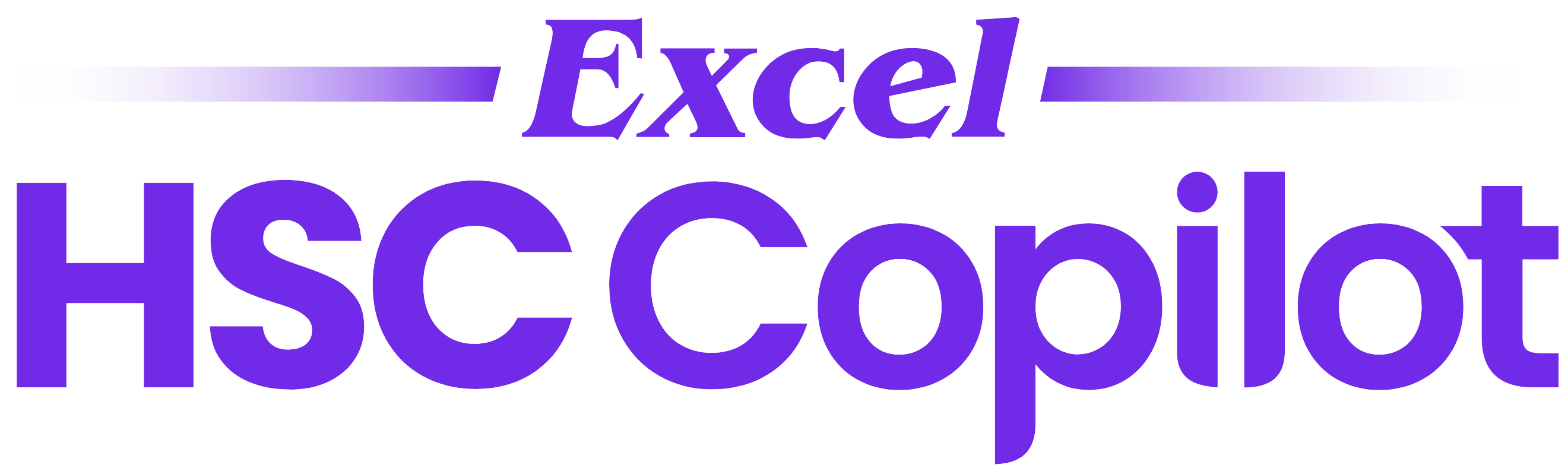 Excel HSC Copilot